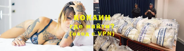 гидра Горно-Алтайск