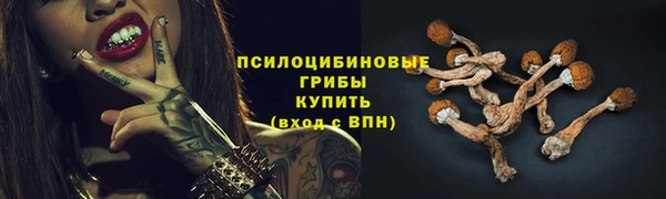 первитин Горнозаводск