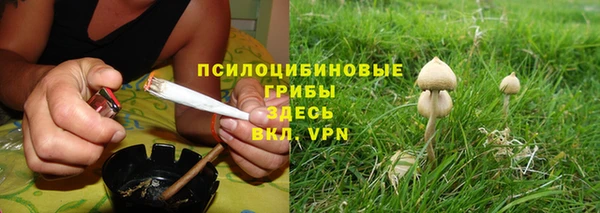 дмт Горняк