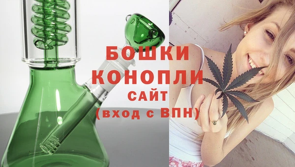 дмт Горняк